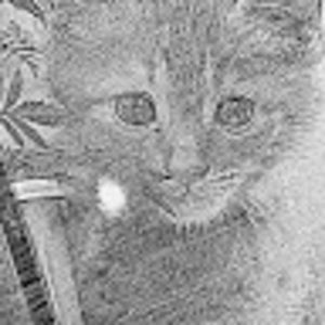 Meet your Posher, Stephen